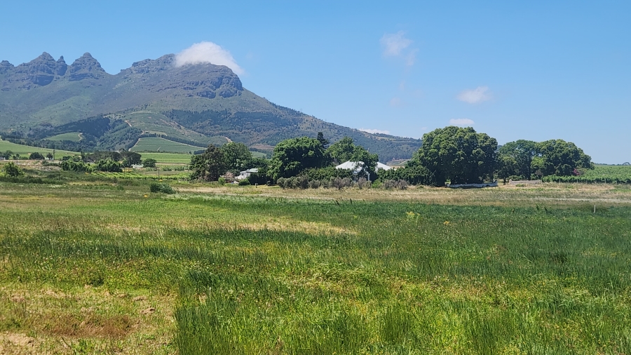 Commercial Property for Sale in Stellenbosch Farms Western Cape